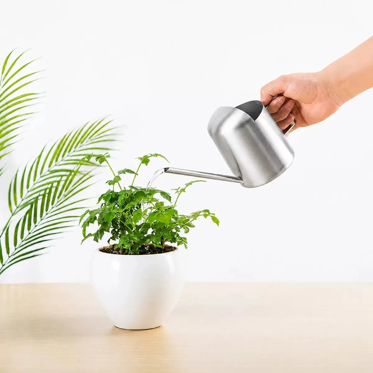 Watering Can