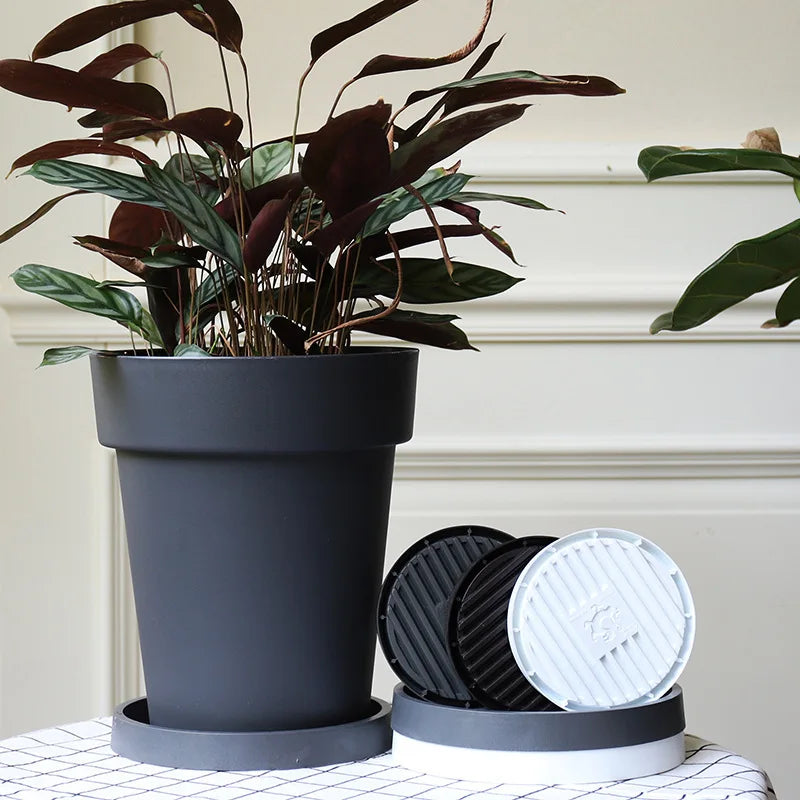 Plant Pot Saucer