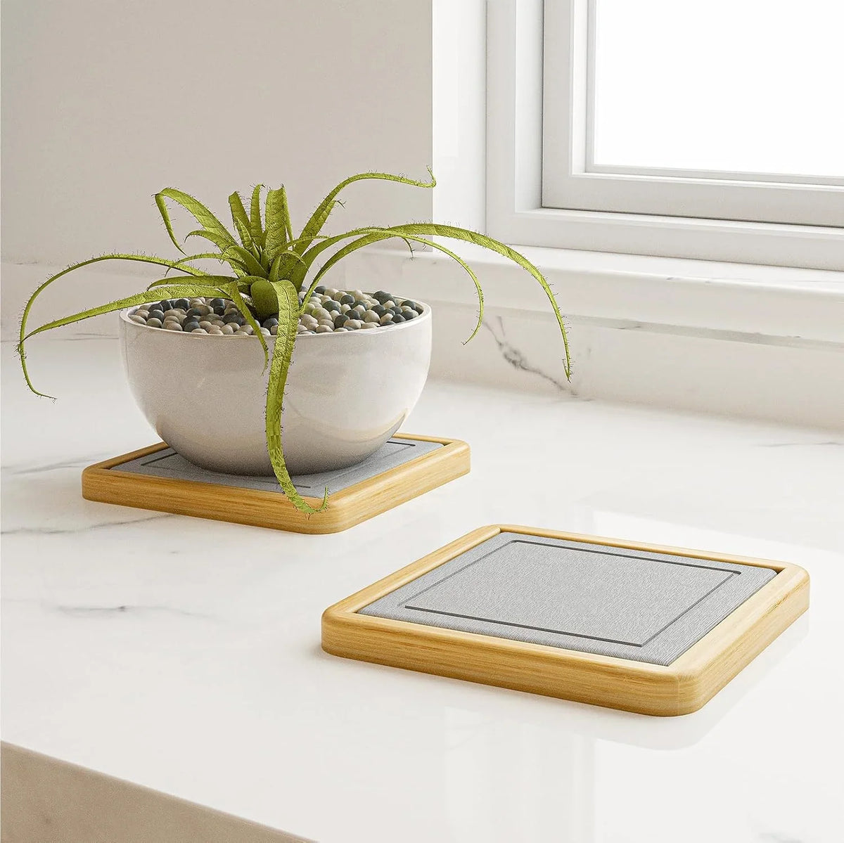 Plant Tray