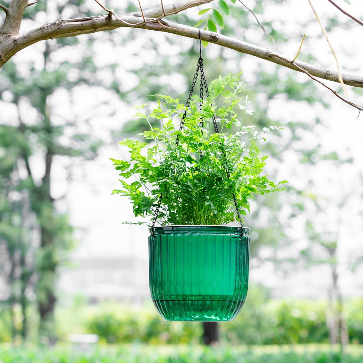Hanging Plant Pot