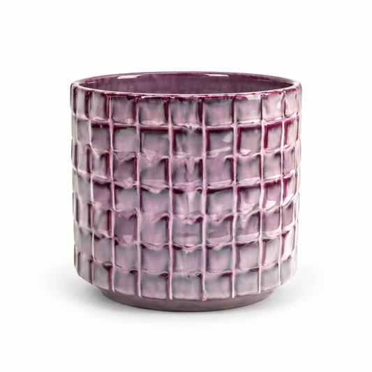 Plant Pot