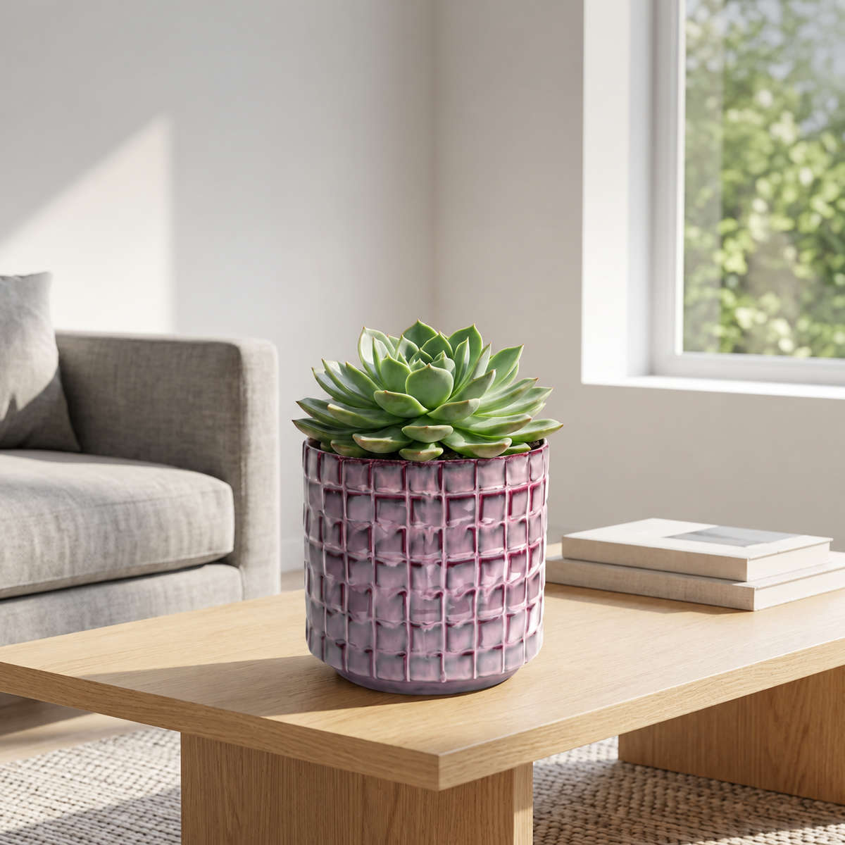 Plant Pot