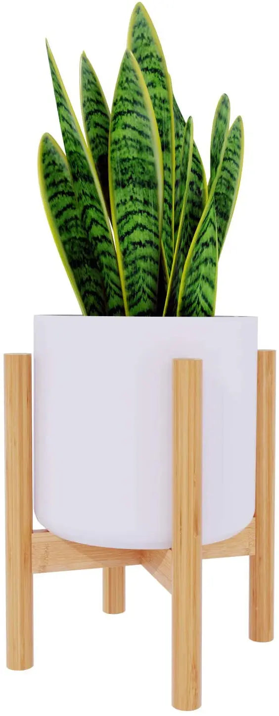 Plant Stand