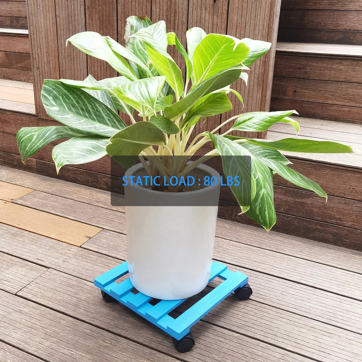 Rolling Plant Caddy