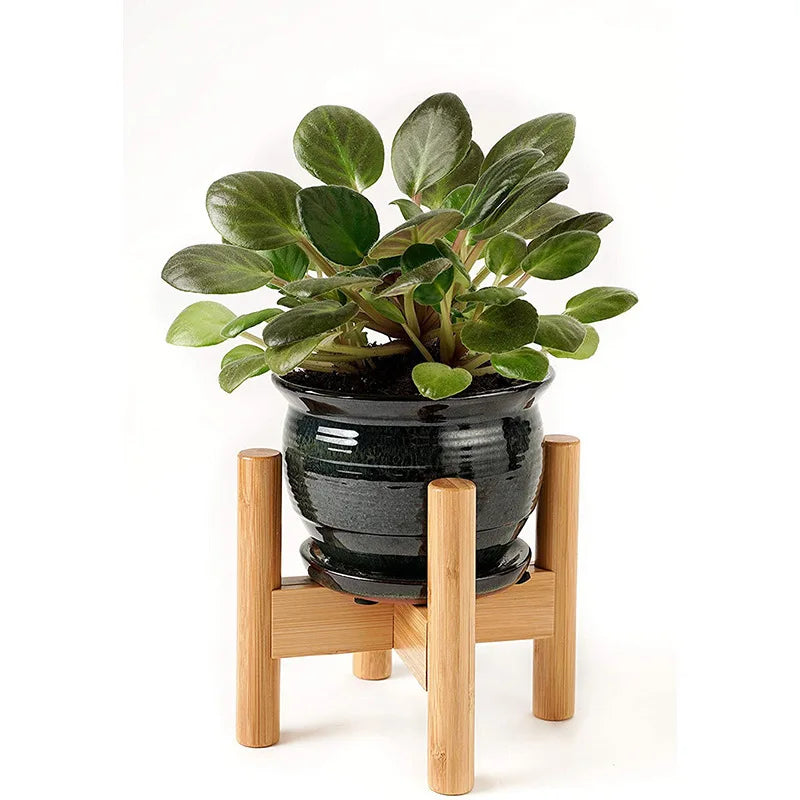 Plant Stand