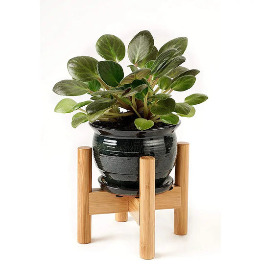 Plant Stand