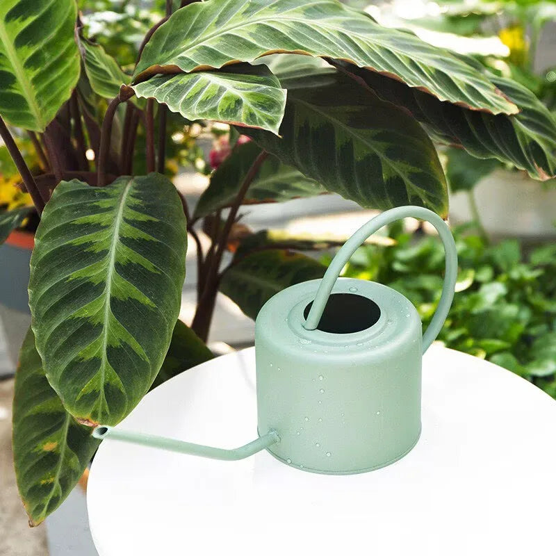 Watering Can