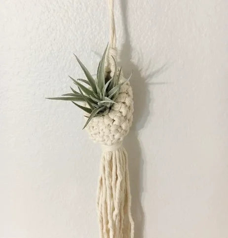 Crochet Plant Hanger
