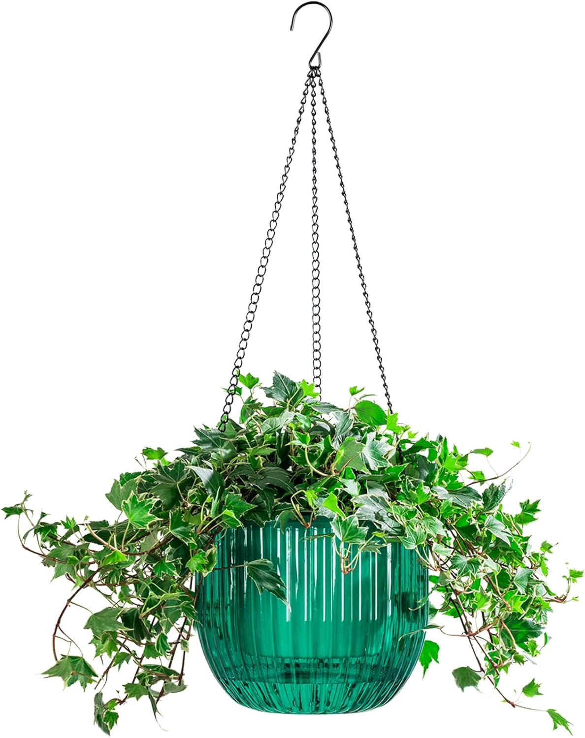 Hanging Plant Pot