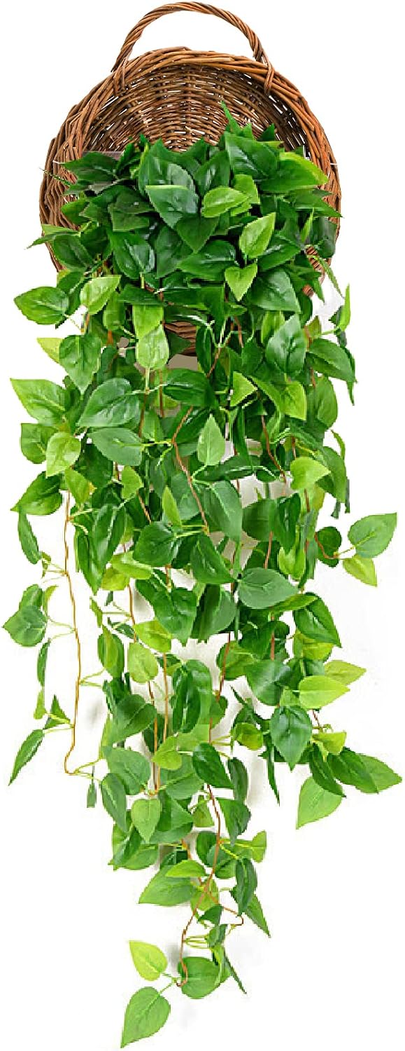 Wall Plant Basket